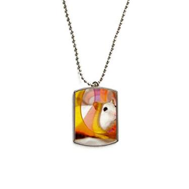 Imagem de Colar com pingente de identificação de cachorro com pingente de corrente de aço inoxidável para animais de estimação