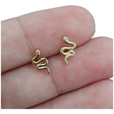 Imagem de Brinco 2 Furo Pequeno Delicado Antialérgico Cobrinha Cobra
