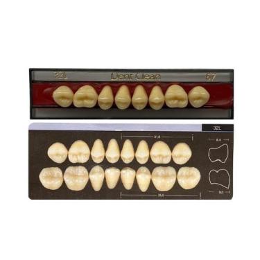 Imagem de Dente Dent Clean Posterior 32L Superior - Imodonto