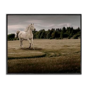 Imagem de Stupell Industries Design de arte giclée emoldurado preto galopando pelo cavalo de campo por Marcus Prime, 61 x 76 cm