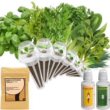 Imagem de inbloom Kit de cápsulas de sementes de ervas asiáticas para AeroGarden, iDoo, Ahopegarden, 7 cápsulas com mais de 350 sementes (manjericão, salsa, coentro, crisântemo, pak choi, planta de gelo