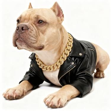 Imagem de Corrente dourada de 24 cm com design de coleira de cachorro com fivela segura e corrente ajustável estendida de 6 cm, acessórios para coleira para animais de estimação para gatos pequenos, médios e