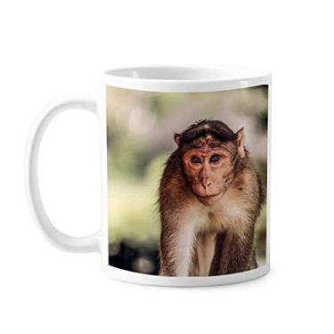 Imagem de Caneca de cerâmica Monkey Terrestrial Organism Animal Selvagem Cerâmica Café Porcelana Utensílios de Mesa