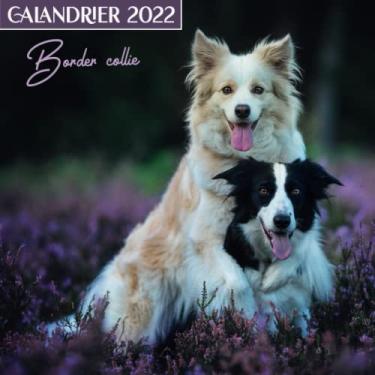 Imagem de Calandrier 2022 Border Collie: Une Jolie Calendrier Mensuel de 12 Mois ( de Janvier à Décembre 2022 ) avec Note | 12 Photos en Couleurs hautes ... Collie idée cadeau original nouvel an Noël