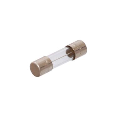 Imagem de Fusível 10A para Microondas Brastemp - 326057619