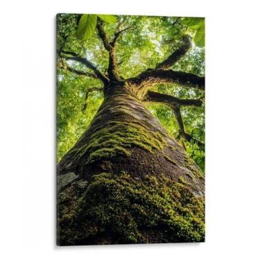 Imagem de Quadro Árvore Ancestral da Força e Sabedoria Viva - Mioquadros, 60x40 