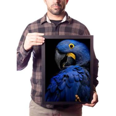 Imagem de Quadro Arara Azul Papagaio Animal Selvagem Decoração - Fanarte