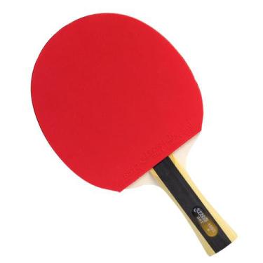 Imagem de Raquete de Tênis de Mesa DHS Clássica H1002 ITTF Approved 1 Estrela