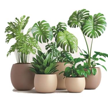 Imagem de Achang Adesivos de parede de plantas, decoração de parede de janela de vidro em vaso de planta verde, descasque e cole para sala de estar, quarto, TV, parede, sala de aula, decoração