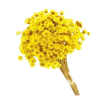 Imagem de Flor Sempre Viva Amarelo Divina Zelia - Albano Embalagens