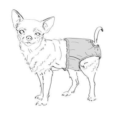 Imagem de Molde pet base calcinha tamanho 0 Ao 12 by Aury Mesquita - EDITORA CLU