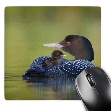 Imagem de 3dRose British Columbia, Common Loons-CN02 GLU0001 - Mouse pad Gary Luhm, 20,32 cm x 20,32 cm (mp_70310_1)