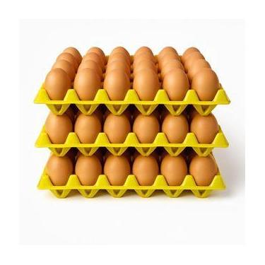 Imagem de Kit 3 Cartela De Ovos Plástica Bandeja 30 Ovos Higiênica - Global Cont