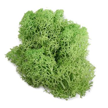 Imagem de Eternal Moss 20 g decoração de jardim artificial mini paisagem plantas verdes sala de estar flores falsas (verde claro)