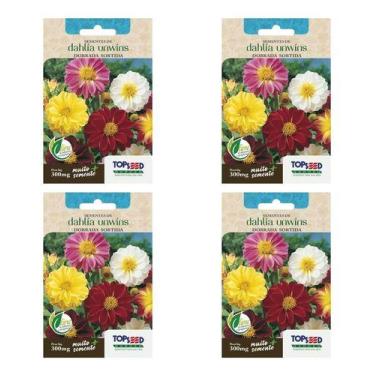 Imagem de Kit 4 Sementes Dalia Unwins Anã Dobrada Sortida Para Jardins - Topseed