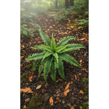 Imagem de Buquê Samambaia Artificial 15 Galhos - Decoração Natural e D - Congrat