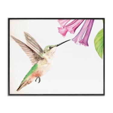 Imagem de Stupell Industries Arte giclée emoldurada preta, beija-flor e bluebell, design de Stephanie Fielden, 76 x 61 cm