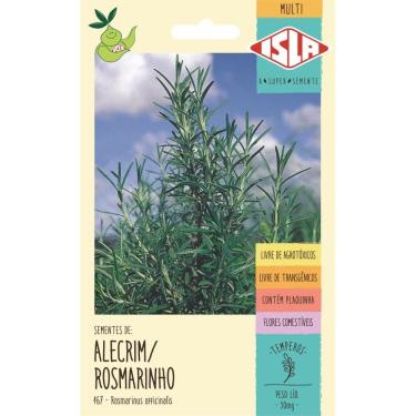 Imagem de Alecrim/Rosmarinho 50mg - 650 sementes por grama