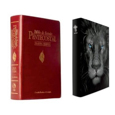 Imagem de Kit Bíblia De Estudo Pentecostal Média Luxo Vinho + Biblia Leão Grafit