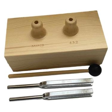 Imagem de simhoa O Conjunto de Diapasões Yogas Demonstra a Geração de Som com Ressonância