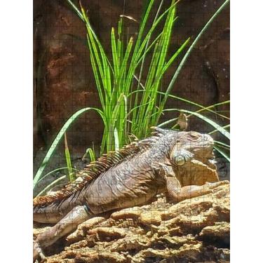 Imagem de Quebra-Cabeças Inclusivos 60 peças Lagarto para Mentes Inteligentes - 