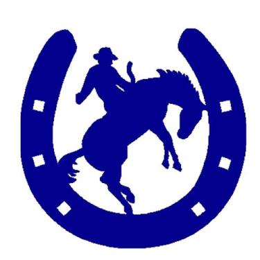 Imagem de Adesivo carro moto sertanejo country cowboy rodeio (Azul)