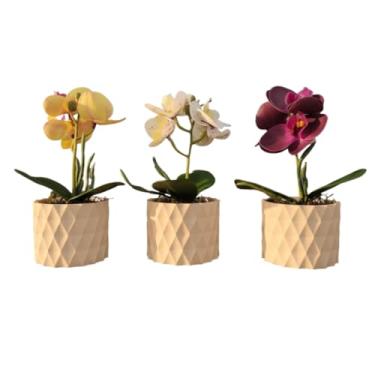 Imagem de Kit 3 Vasos Prismar com Arranjo Mini Orquídea Artificial – Decoração Moderna e Elegante para Sala, Escritório e Ambientes(Bege)