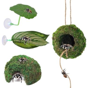 Imagem de Hollima Kit de couro de aranha saltadora com ventosa, ponte de corda e borda de folha - Enriquecimento de escalada, esconderijo de descanso para tarântula e pequenos compartimentos de aranha