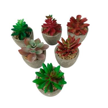 Imagem de Vaso Decorativo de Cimento 9cm com Planta - Tudo em Caixa