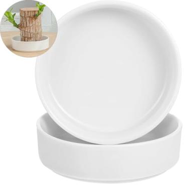 Imagem de FOWSEEK 2 vasos de madeira brasileira (plantas não incluídas), palete de madeira brasileira de cerâmica, bandeja de madeira brasileira, vasos de flores, bandeja de plantas, pires para madeira da sorte