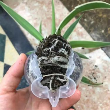 Imagem de 10 unidades de cápsulas de enraizamento de plantas - bolas de enxerto de propagação de alta pressão para mudas de árvores, dispositivos de enraizamento de camadas de ar para uso em jardim e berçário