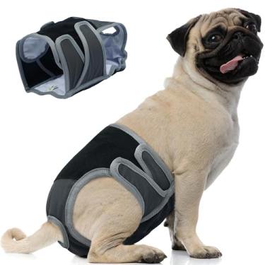 Imagem de PUMYPOREITY Fralda lavável para cães, cinza, GG