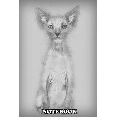 Imagem de Notebook: Kitten Lykoi Cat 7 Weeks Old Also Called The Werewolf C , Journal for Writing, College Ruled Size 6" x 9", 110 Pages