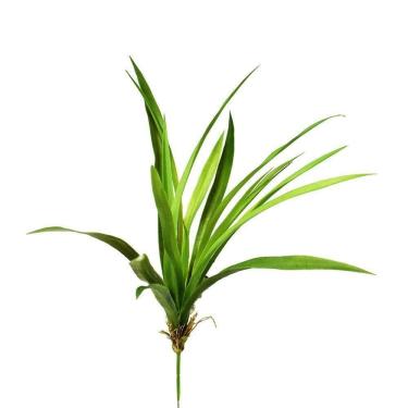 Imagem de Planta Artificial Folhagem Agave Flor Arte X19 Verde 46cm