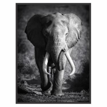 Imagem de Quadro Decorativo Elefante Preto e Branco para Sala Quarto - Essencial