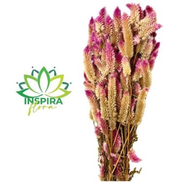 Imagem de Buque Maço Celosia Rabo De Gato Flores Desidratadas - Inspira Flora, R
