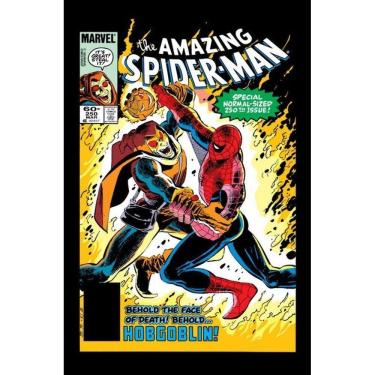 Imagem de A Saga Do Homem-Aranha 23