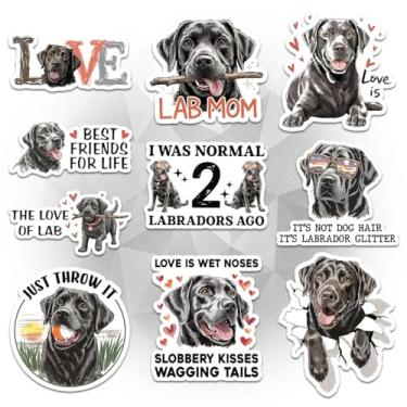 Imagem de Adesivos Labrador Retriever (10 peças - 7,6 cm) – Lab Mom, Slobbery Kisses Wagging Tails, I was Normal 2 Labradors Ago – Presentes divertidos para donos de laboratório – para laptop, garrafa de água