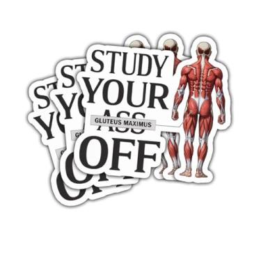 Imagem de Adesivo com 3 peças Study Your Ass Off, presente motivacional engraçado para estudantes, amantes de academia, fitness, glúteo máximo, adesivos Study Your Ass Off Gluteus Maximus, decalque para laptop