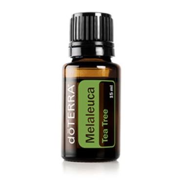 Imagem de Melaleuca, Óleo Essencial de Tea Tree, 15ml