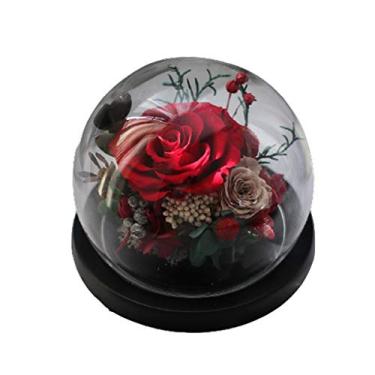 Imagem de WYUYIWH Flor artificial flor eterna pequena caixa de presente preservada rosa real aniversário melhor amiga namorada decoração ornamentos de presente fino (vermelho)
