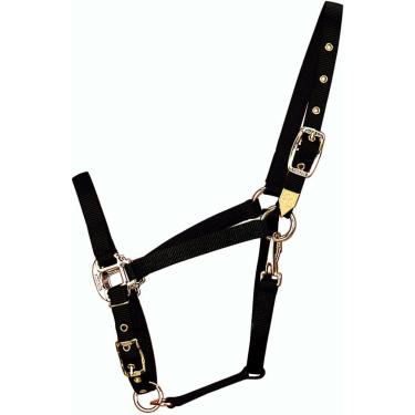 Imagem de Halter de cavalo árabe de nylon de 1,9 cm da Hamilton com fecho ajustável no queixo e na gargantaHamilton Average, 800 to 1100 pounds preto 8DAS AVBK
