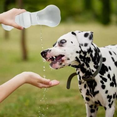 Imagem de Bebedouro Tigela Silicone Pets Caminhadas Dobrável Refresca Sede Passe