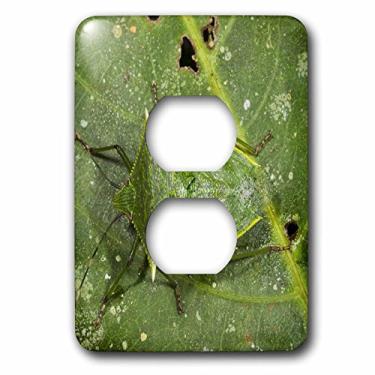 Imagem de 3dRose Lsp_86407_6 Shield Bug Insect, Napo River, Yasuni Np, Equador Sa07 Pox2057 Pete Oxford 2 Plug Cover Outlet Cover