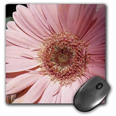 Imagem de 3dRose Mouse pad LLC 20 x 20 x 0,63 cm, Gerbera rosa (mp_7497_1)