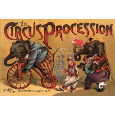 Imagem de Livro - A procissão do circo