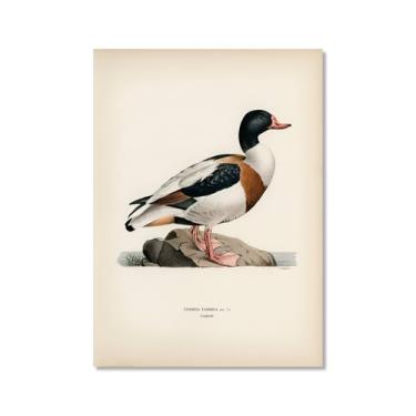 Imagem de Pôster de arte de parede vintage com estampa de pato rústica, pássaros, lago, natureza, retrô, pintura, quadros, decoração de quarto de fazenda (SKU7,50,8 x 71,1 cm = (50 x 70 cm), sem moldura)