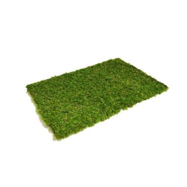 Imagem de Sanitario Canino Banheiro Cães Tapete Sintetico Grama Pet - Ilove 3D