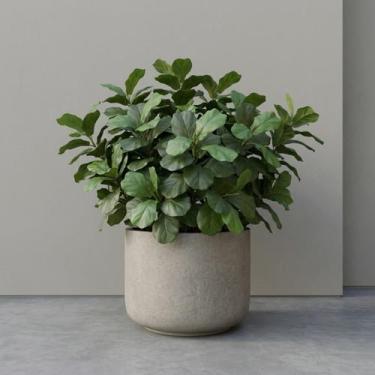 Imagem de 6 Mini Árvores Artificiais Ficus Lyrata Silicone Toque Real 85cm Plant