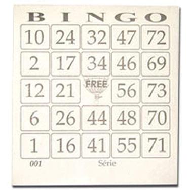 Imagem de Bloco Para Bingo Jornal 110X100Mm 100 Folhas Pacote Com 15-430